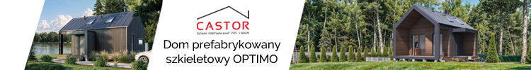 024_castor_baner_750x100